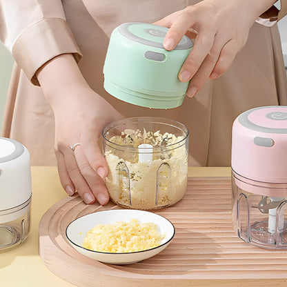 mini_hachoir_electrique_execution