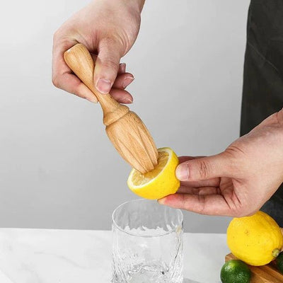 Presse-citron-manuel-EcoPress-jus