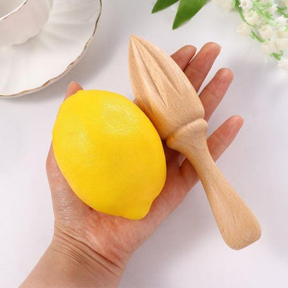 Presse-citron-manuel-EcoPress-simple